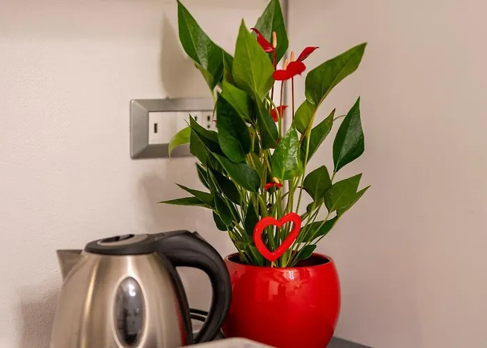 Magenta Nest - Loft&charme *